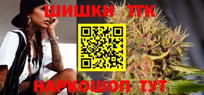 индика Беслан