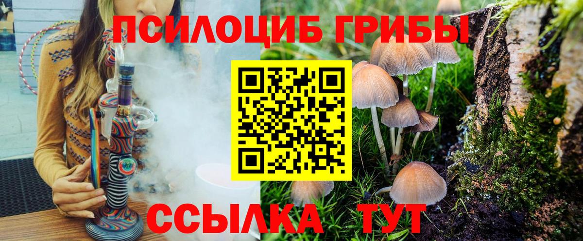 Псилоцибиновые грибы MAGIC MUSHROOMS Знаменск