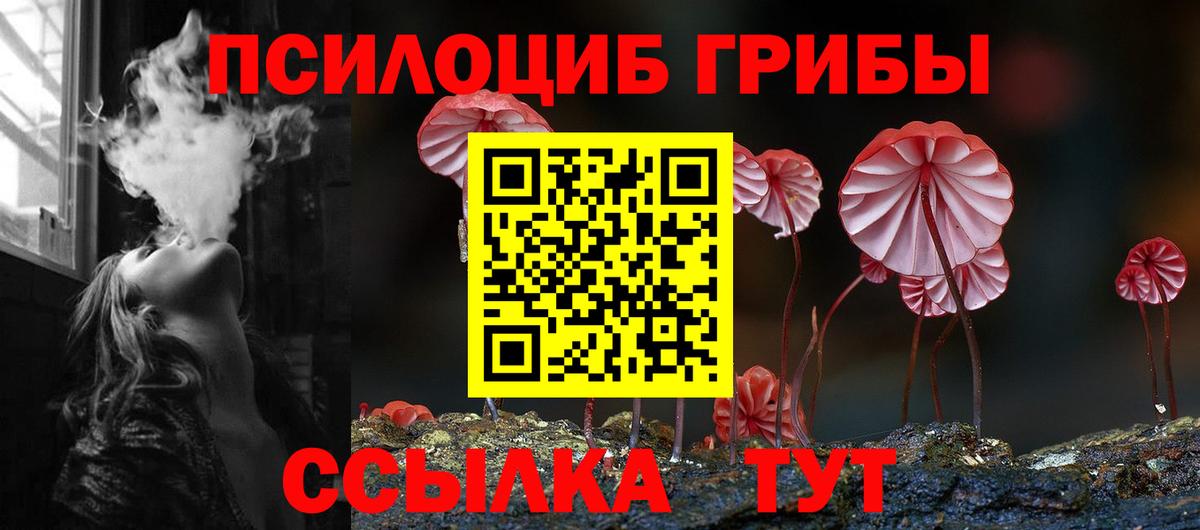 Псилоцибиновые грибы мухоморы  Вход с VPN  Псилоцибиновые грибы ЛСД  Знаменск 